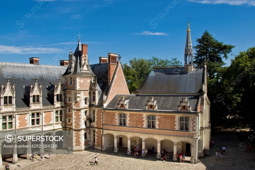 France, Loire valley, Blois, Castle