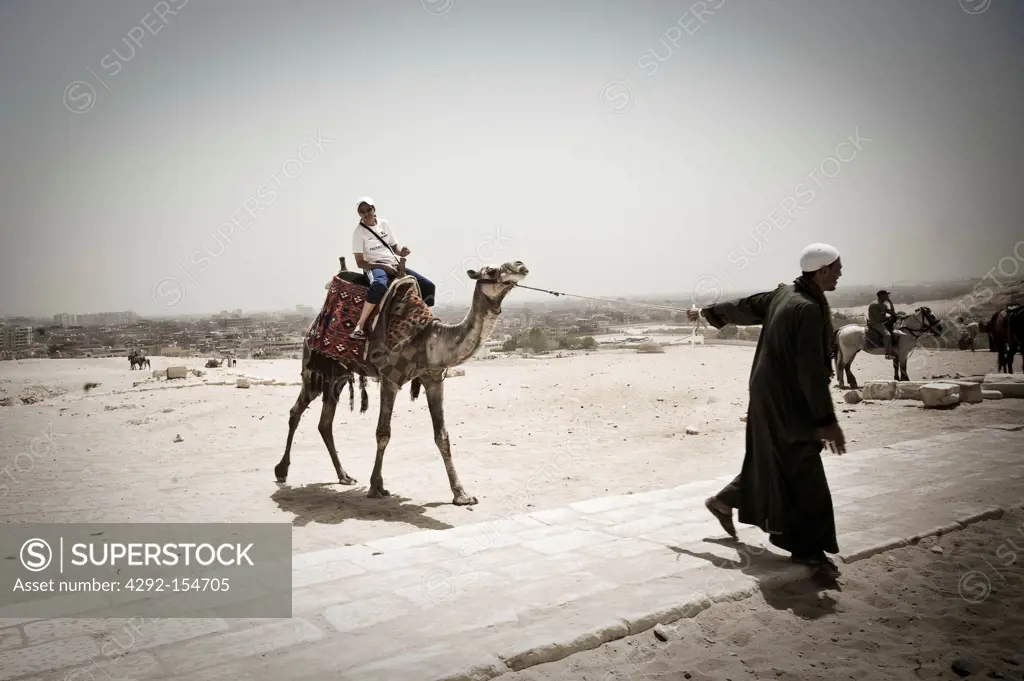 Egypt, Cairo, a man transported by camel for tourists