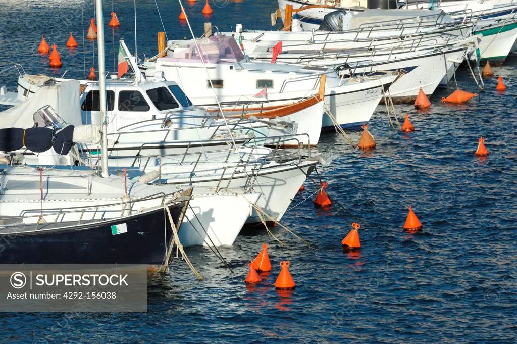 Italy, Tuscany, Giglio Island, boats moored at Giglio Porto