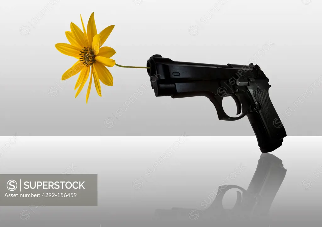 gun and flower