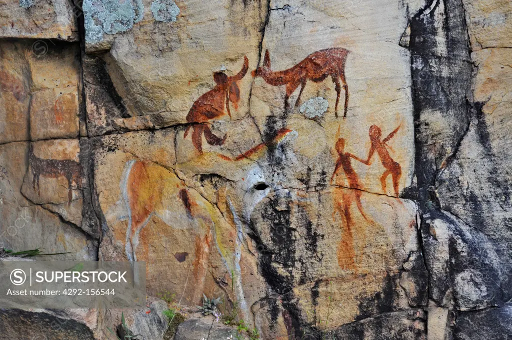 Africa, South Africa, Cederberg mountain reserve, old bushmen paintings