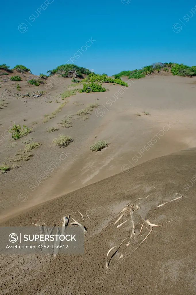 Dominican Republic, Bani, coastal dunes