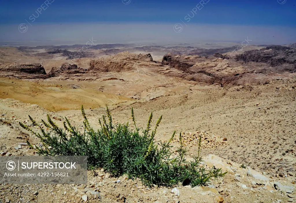 Jordan, wadi Araba, the desert