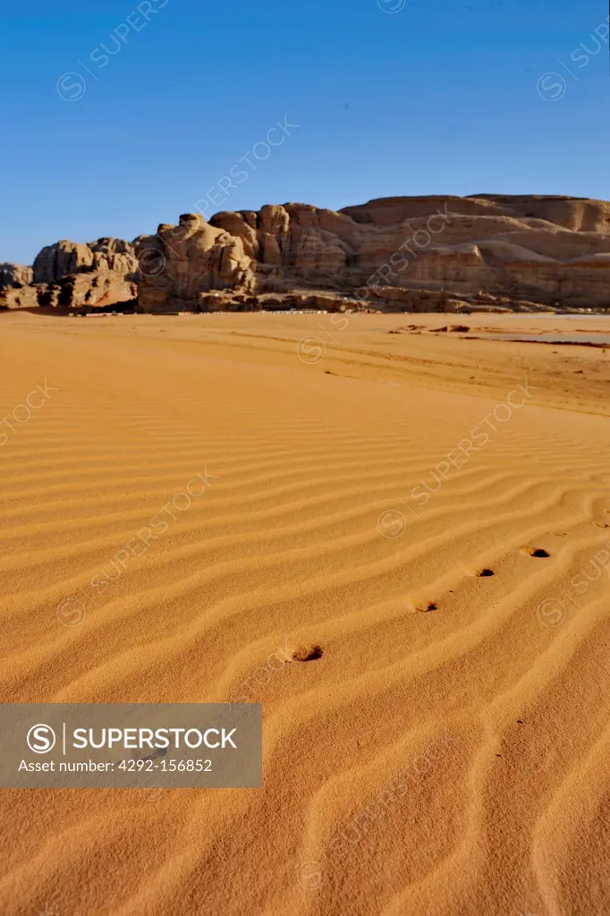 Jordan, wadi Rum reserve, fox tracks in the desert