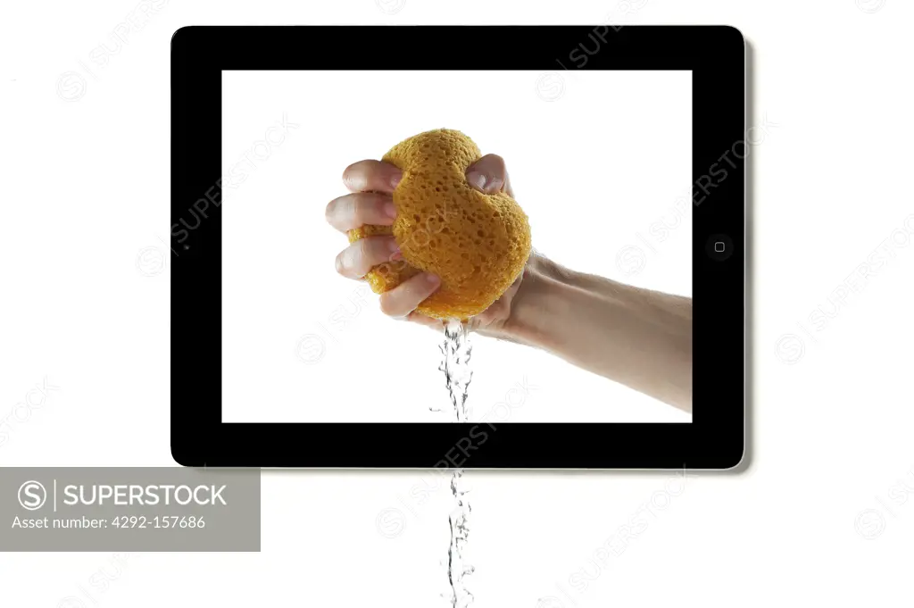 Apple Sponge
