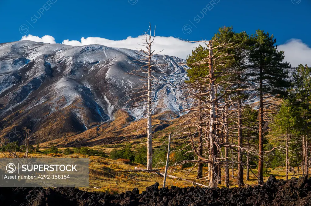 Italy, Sicily, Etna, Etna Park, north side