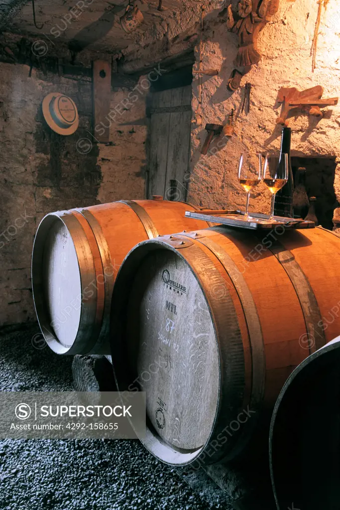 Italy, Piedmont, Langhe, Loazzolo, barrels of wine moscato
