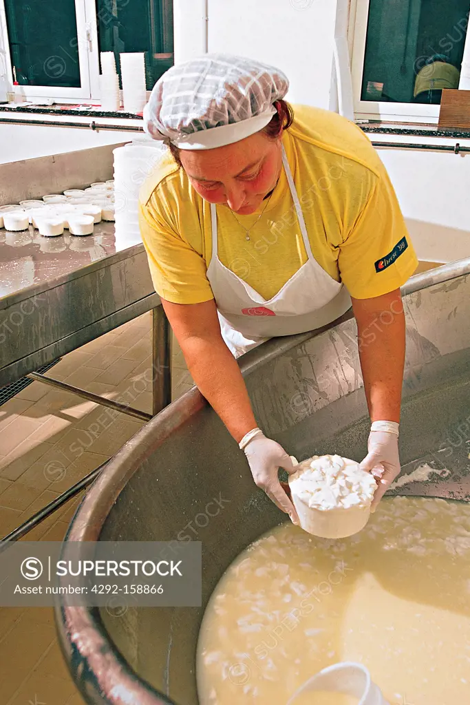 Italy, Piedmont, Alessandria, production and processing steps of Montebore cheese