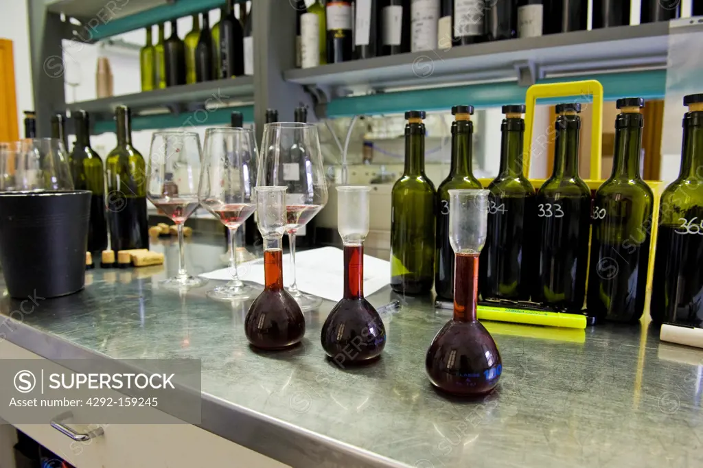 Italy, Lombardy, Valtellina, Chiuro, Nino Negri vinery, analysis and tasting laboratory