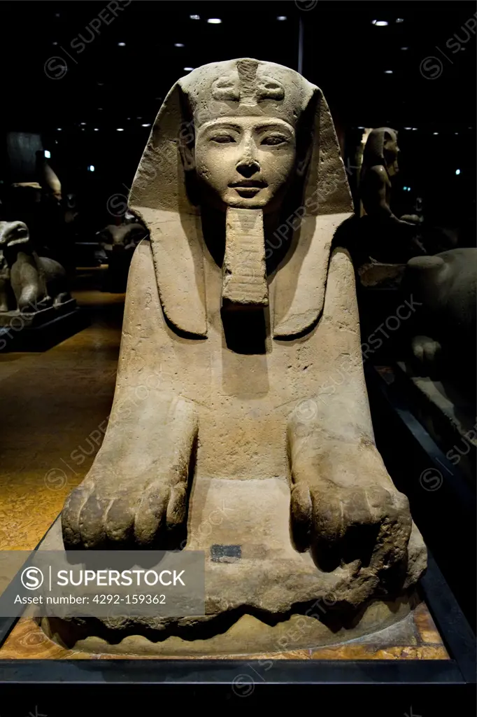 Italy, Piedmont, Turin, Egyptian Museum, Statuary room, the sphinx