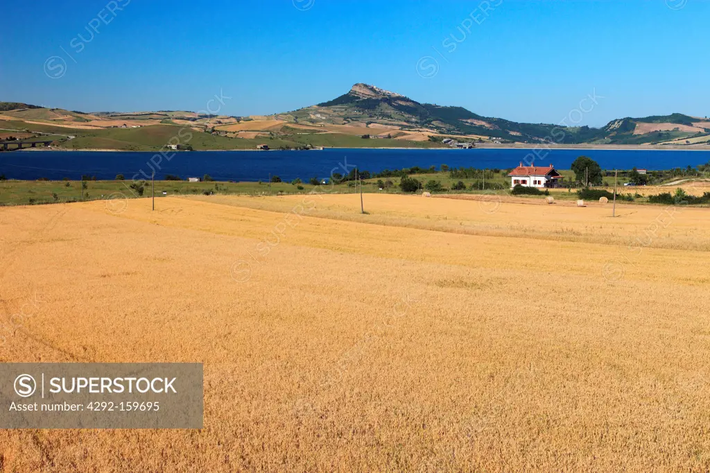 Italy, Campania, wheat field and lake Conza, view towards Cairano