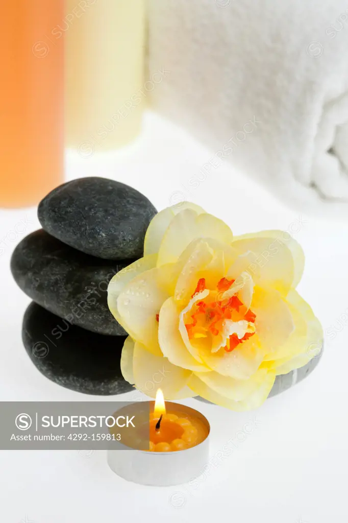 Spa elements for wellness: soap, body cream, candle, towel and flower
