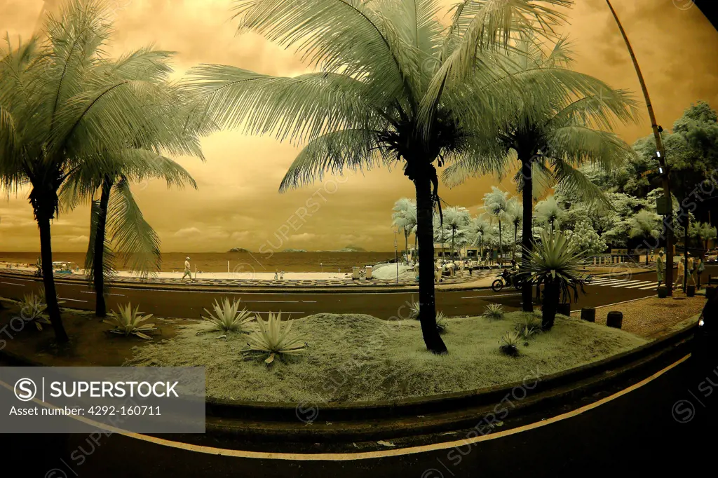 Ipanema - Rio de Janeiro, Brasil - Cloudy seaside with palms