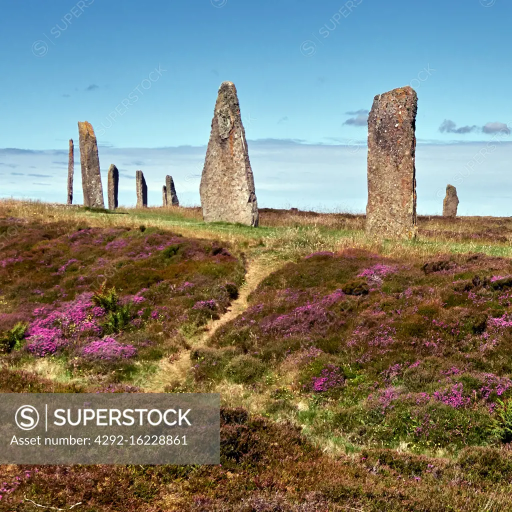 UK, Scotland, Orkney Islands is an archipelago in the Northern Isles of Scotland, , Atlantic Ocean,, he ancient standing stones of the Ring of Brodgar in the Orkney Islands off the north coast of Scotland. This monument in the heart of the Neolithic Orkney World Heritage Site is believed to have been built between 4000 and 4500 years ago. Originally built with sixty stones in a circle over 100 metres across, fewer than half of the stones still stand. The tallest of the stones is a little over 4.5 metres (15 feet) tall