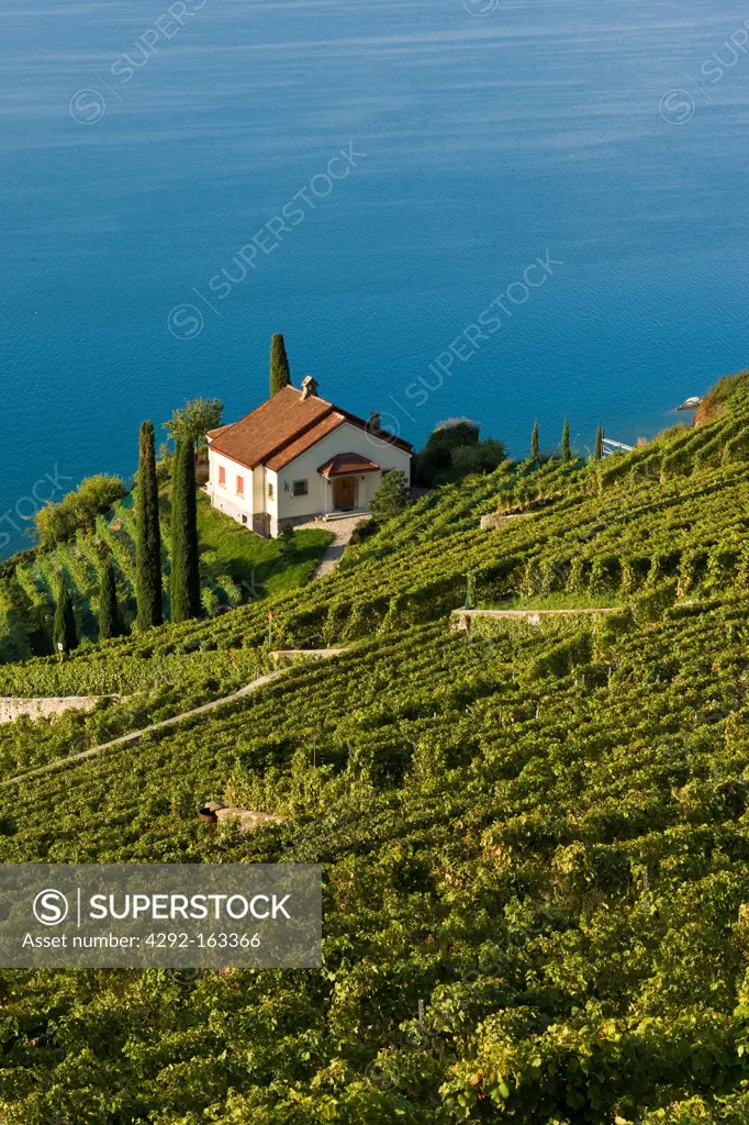 Lavaux vineyards, UNESCO, Switzerland