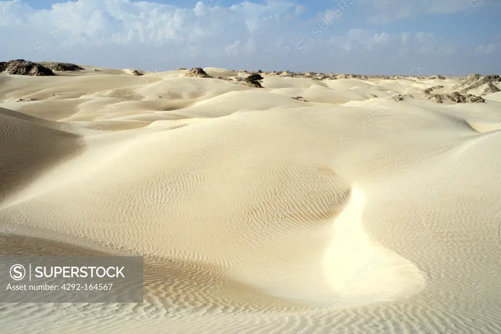 Oman, Wahiba desert