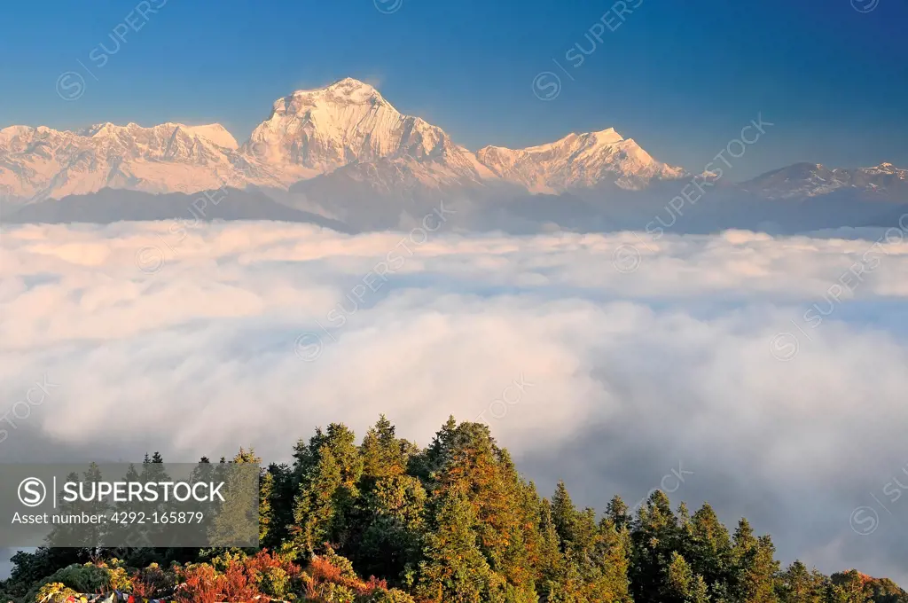 Nepal, Ghorepani, Poon Hill, Dhaulagiri massif, Himalaya, Dhaulagiri range looking west from Poon Hill