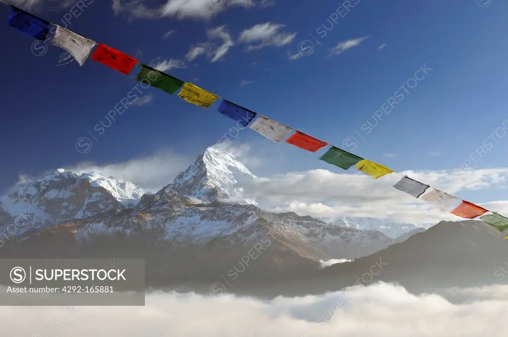 Nepal, Ghorepani, Poon Hill, Dhaulagiri massif, Himalaya, Annapurna South and Annapurna I, view from Poon Hill, Himalaya