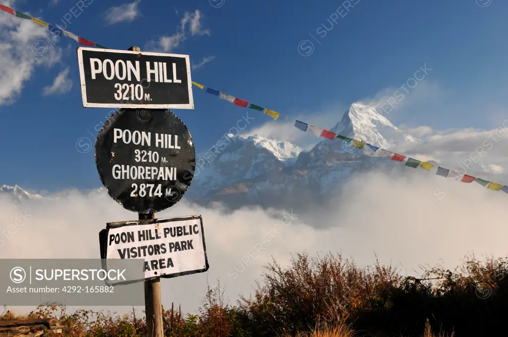 Nepal, Ghorepani, Poon Hill, Dhaulagiri massif, Himalaya, Ponn Hill public visitors park area, Nepal Himalaya