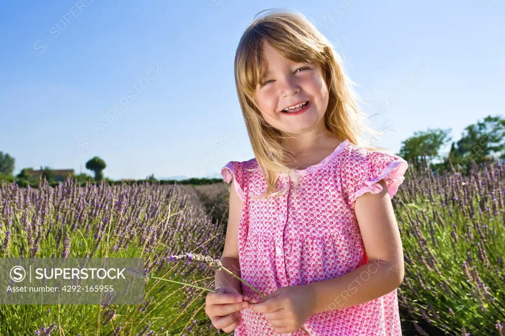 little girl standing into a lavender field holding a lavender branch