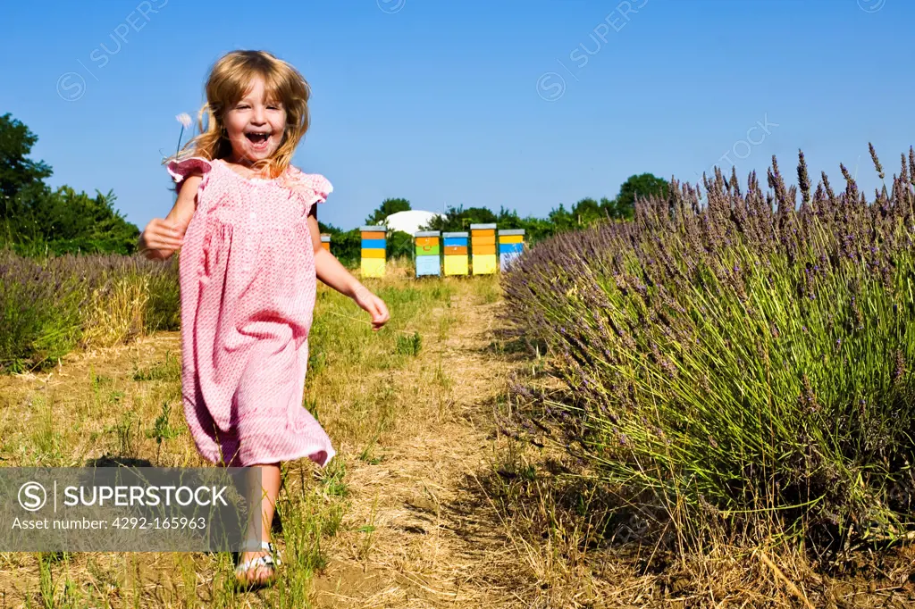 little girl running into a lavender field
