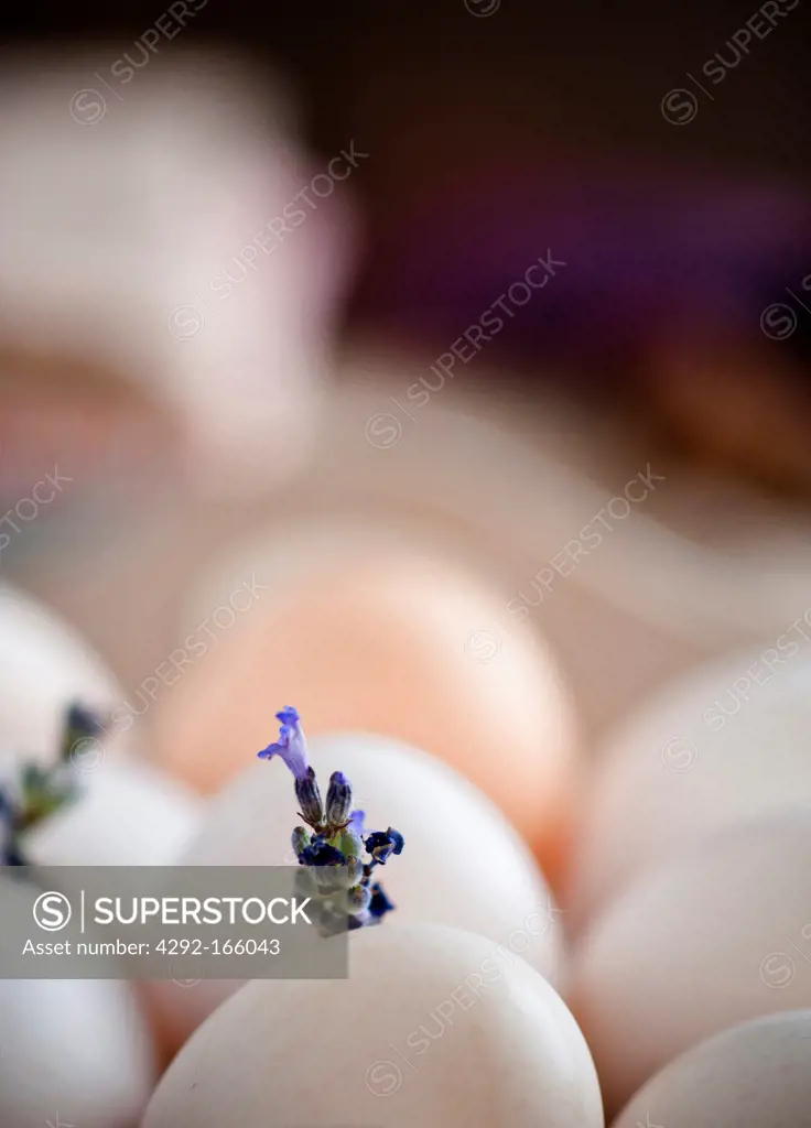 egg and lavender