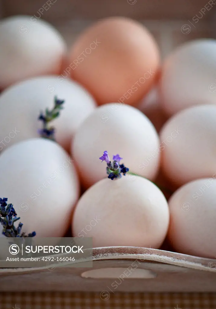 egg and lavender