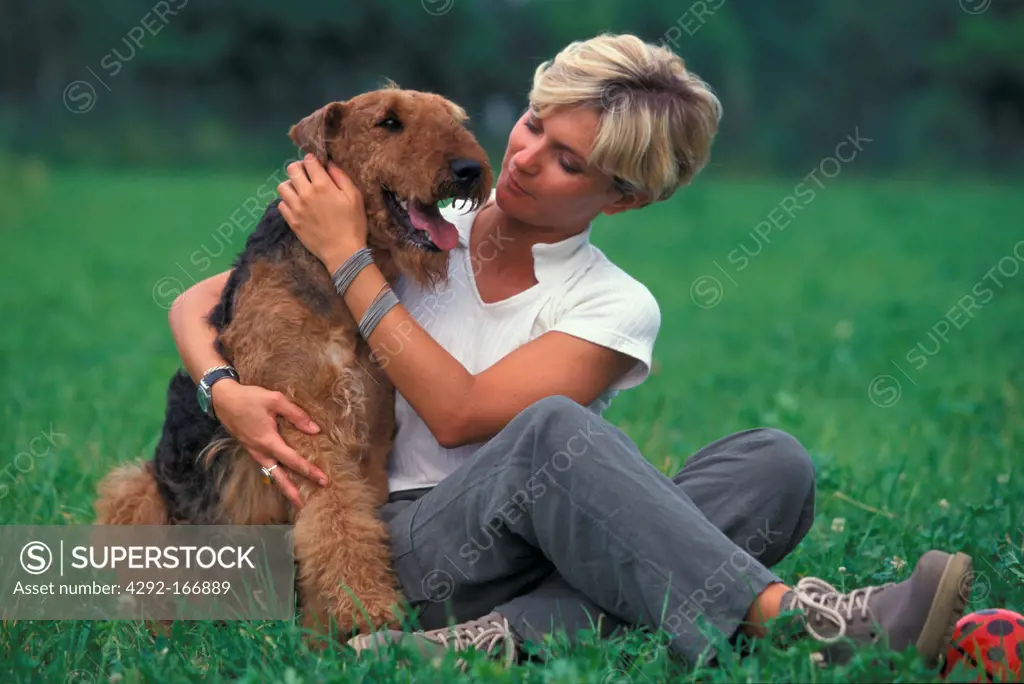 Airedale Terrier portraits