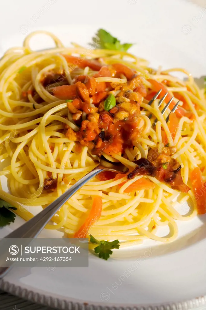 Italy, Apulia, typical spaghetti with sea urchins