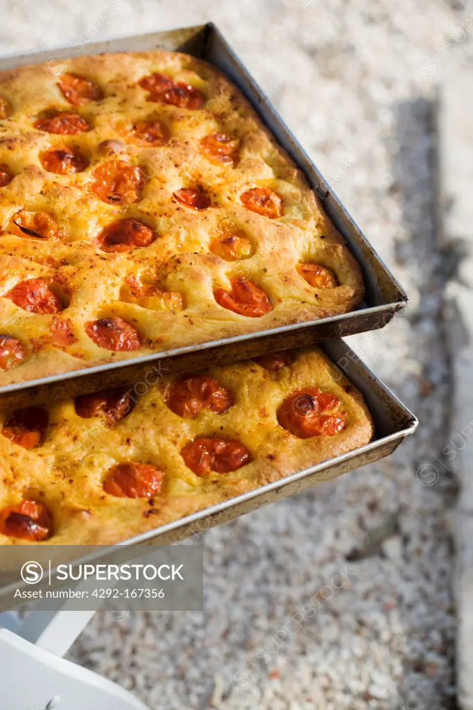 Italy, Apulia, typical focaccia with tomatoes