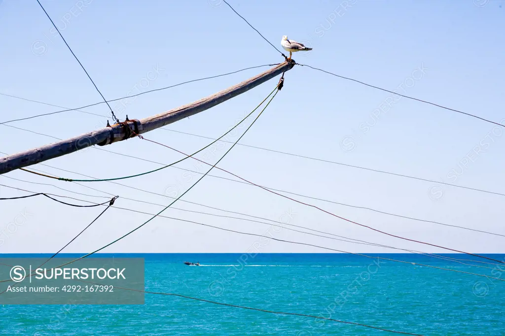 Italy, Apulia, Gargano, detail of a typical trabucco with a seagull