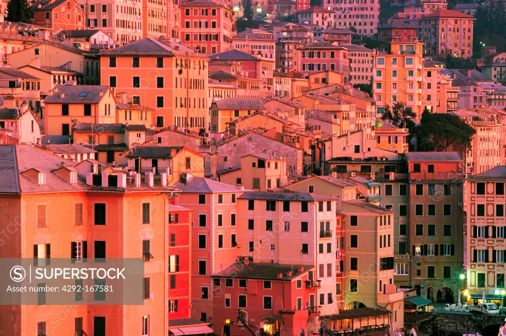 Italy, Liguria, Camogli, the buildings