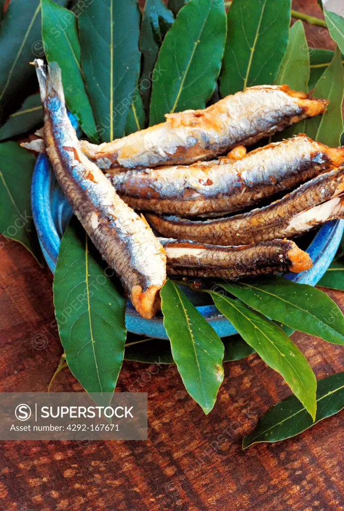 Fried anchovies with laurel leaf