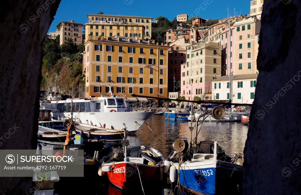 Italy, Liguria,Camogli, the houses overlook on the harbour