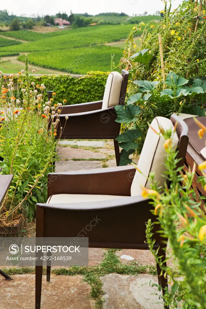 Armchairs in a garden