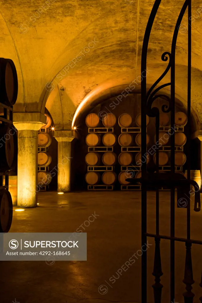 Italy, Piedmont, Gavi, wine cellars of villa sparina resort