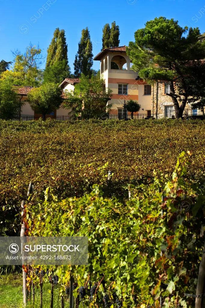 wallace house and its vineyards, wallace house, cremolino, piedmont, italy
