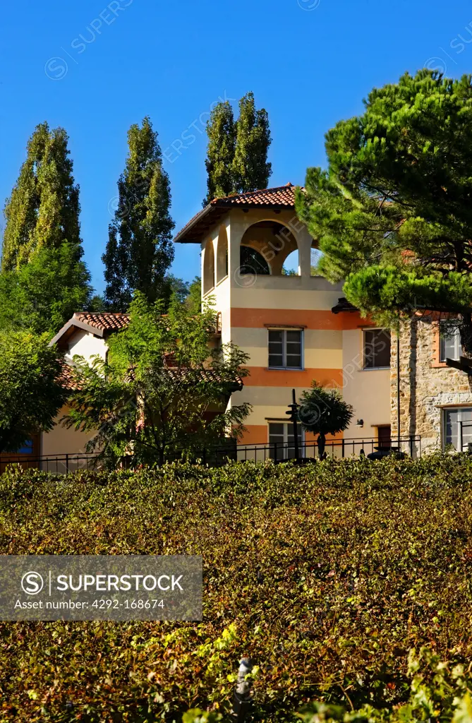wallace house and its vineyards, wallace house, cremolino, piedmont, italy