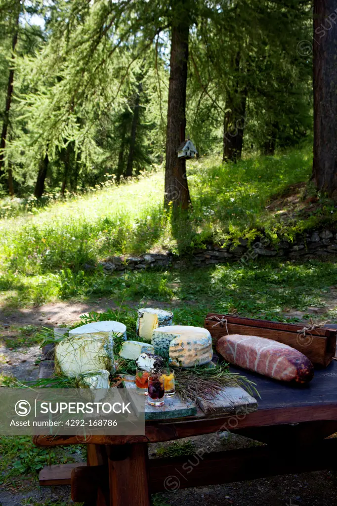 Italy, Piedmont, Susa Valley, cheese in the forest