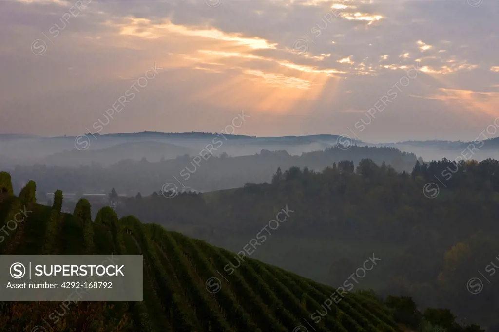 Italy, Piedmont, Langhe, Roero, sunset on the hills and on the vineyards