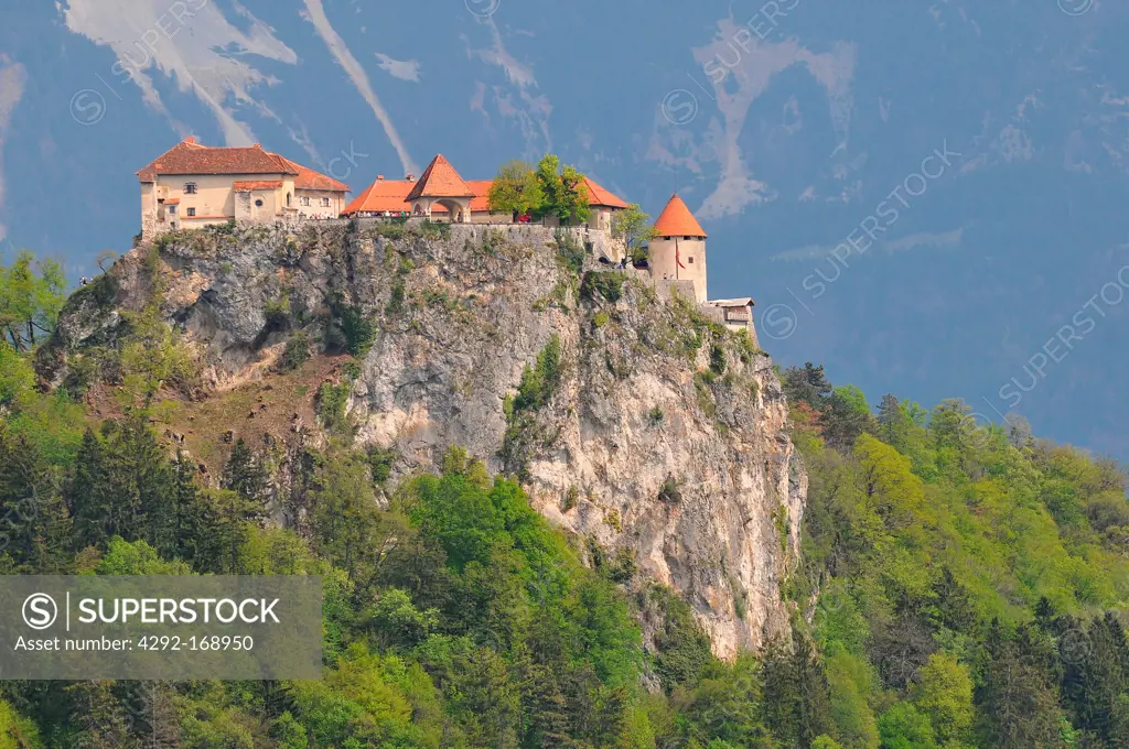 Slovenia, Bled, Bled Castle medieval castle built on a precipice above the city of Bled in Slovenia, overlooking Lake Bled.