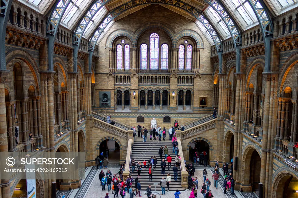 UK, England, London, Natural History Museum