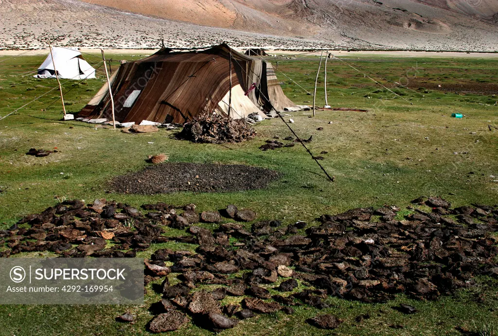 India, Ladakh, nomad sheperd tents