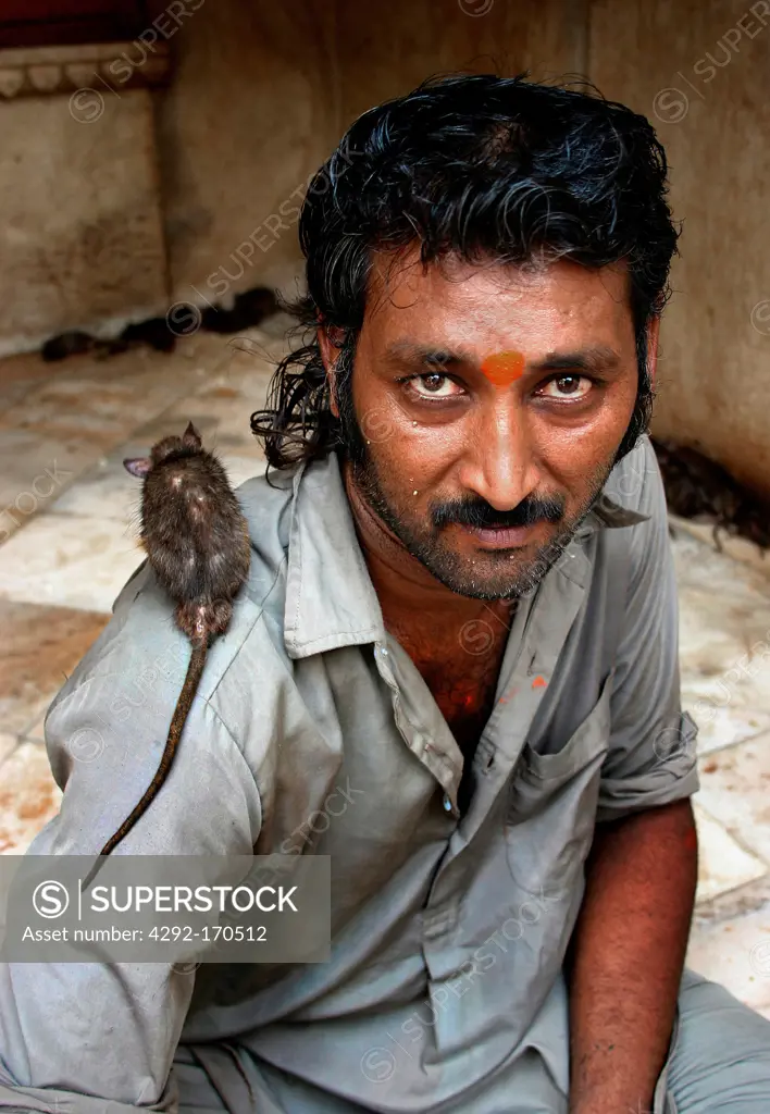 India, Rajasthan, Deshnok, Karni Mata Temple, man with rats