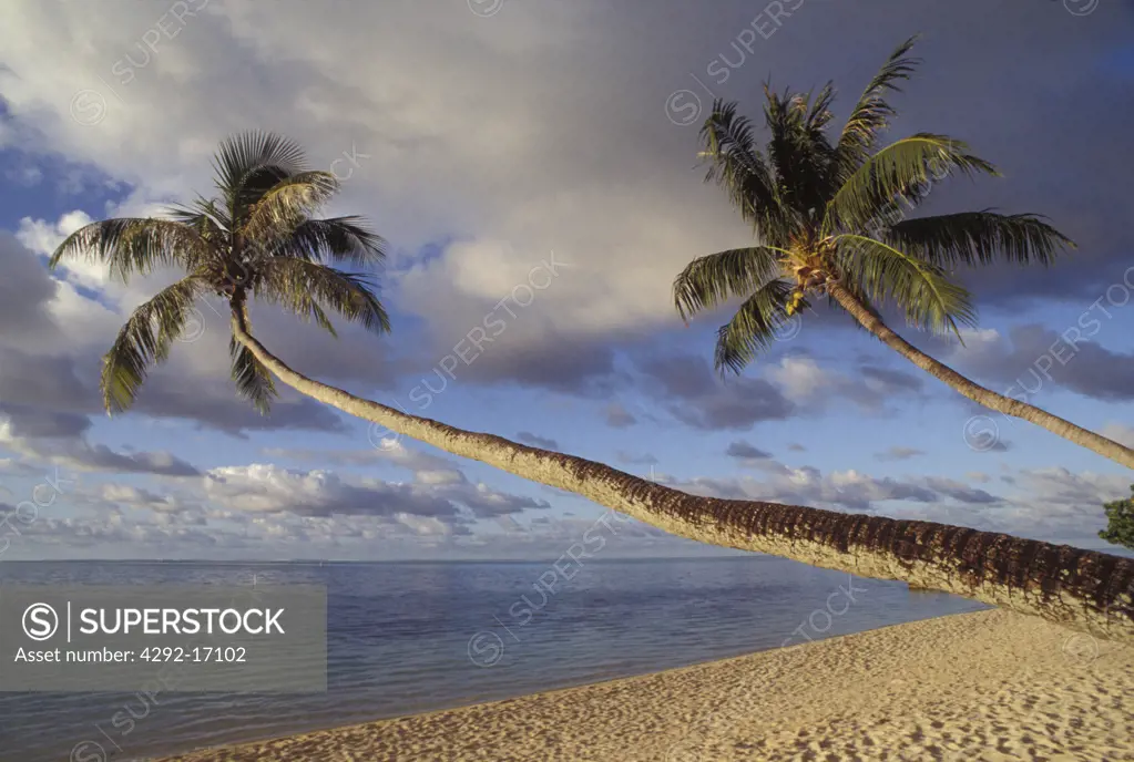 French Polynesia, island of Bora Bora
