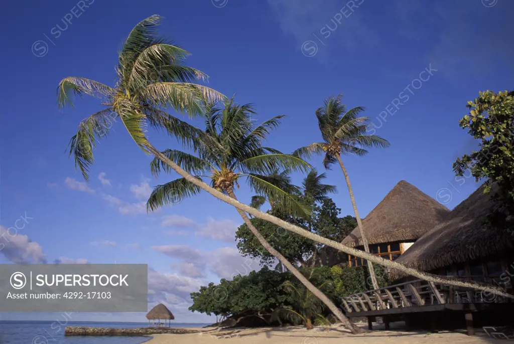 Polynesia, French Polynesia, island of Bora Bora