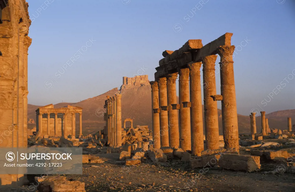 Syria, Desert Region, Palmyra