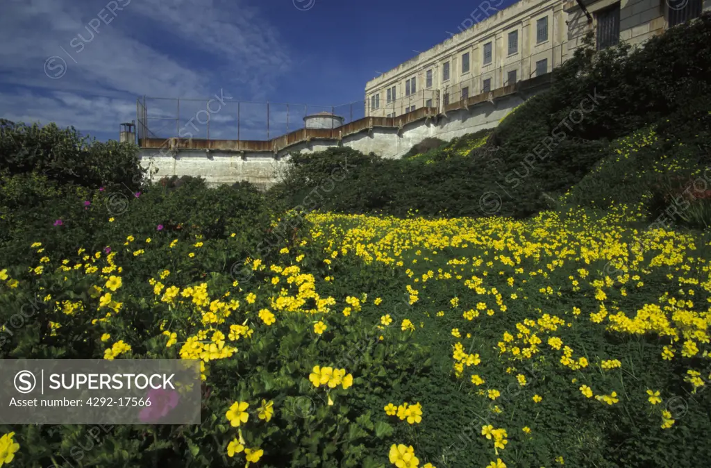 USA, California, San Francisco, Alcatraz, garden