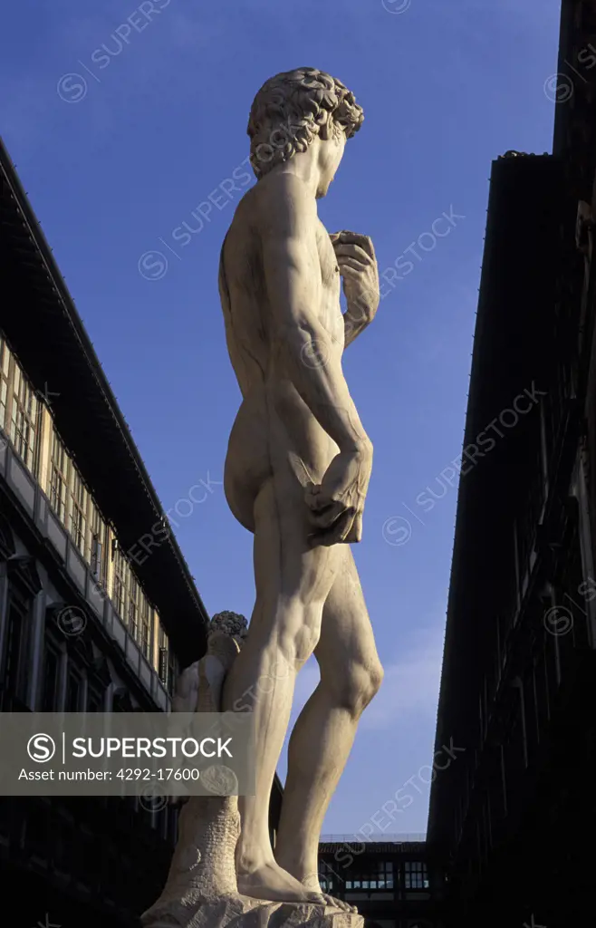 Italy, Florence. David Statue