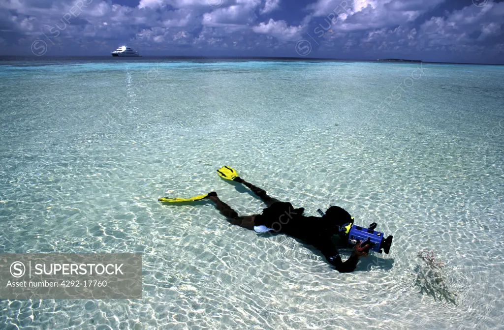 Maldives, diver with camera in shallow water
